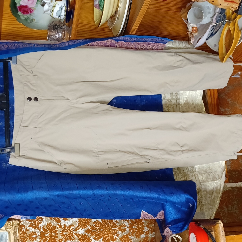 Patagonia cargo Pants 10